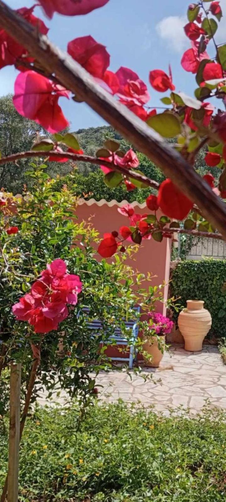 Julietta Suites Argostoli  Exterior foto
